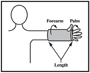 arm chart